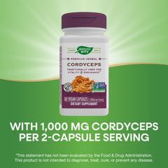 Nature's Way Cordyceps capsules close-up with 1,000 mg per serving.