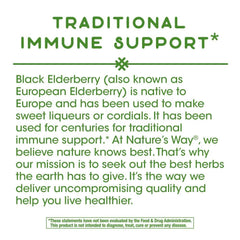 Nature's Way Elderberry pack of 2 in a ready-to-use display.