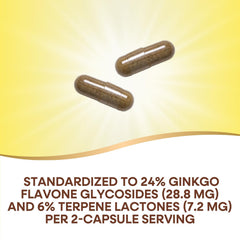 Nature's Way Ginkgo label detail showing vegan and gluten-free formula