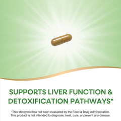 Graphic note of potency showing 80% silymarin for informed use.