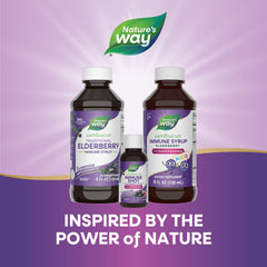 12-count Nature's Way Sambucus Immune Shots pack for easy daily use