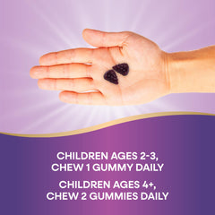 Illustrated daily dosage guidance for children 2+ with Nature's Way Sambucus Kids Gummies.