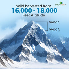 Lab-tested Naturesactiv Shilajit Resin confirms quality and safety standards.