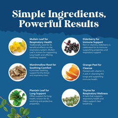 Natures Craft Mullein Drops in daily wellness routine scene for lung support