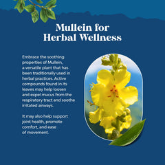 Natures Craft organic mullein leaf tincture blend with plantain for breathing balance