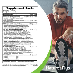 NaturesPlus AgeLoss Prostate Support with saw palmetto and pumpkin seed blend for male health