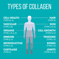 NaturesPlus Collagen Peptides Vanilla in liquid mixes easily for beverages.