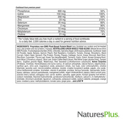NaturesPlus FRUITEIN ingredients reveal gluten-free, non-GMO profile.