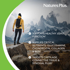 Honey Lemon label close-up on NaturesPlus Ultra Rx-Joint Liquid highlighting key nutrients.