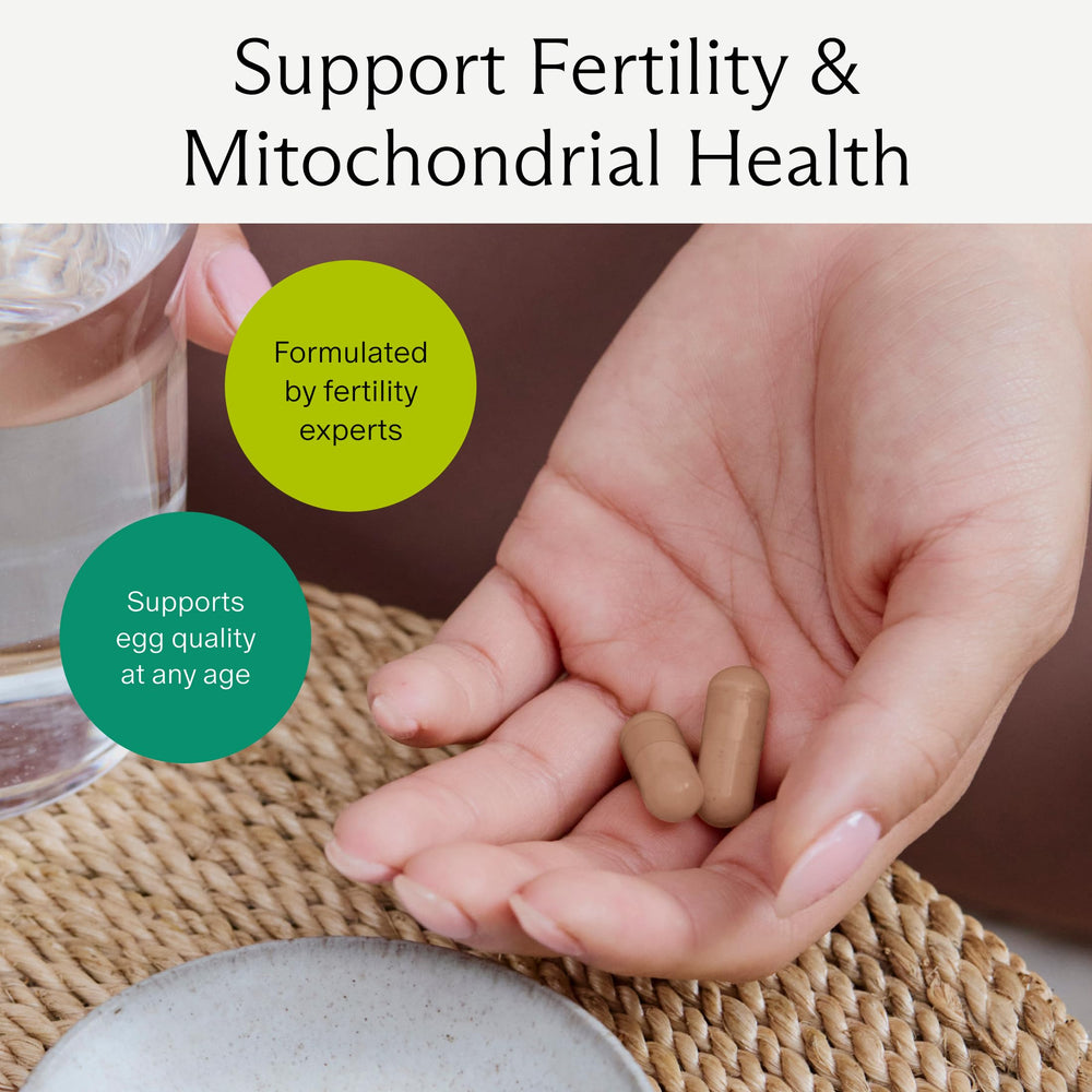 Needed Egg Quality Support label closeup highlights third-party tested purity.