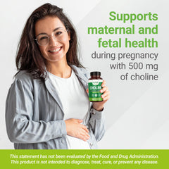 Nested Naturals Choline Bitartrate product hints prenatal wellness