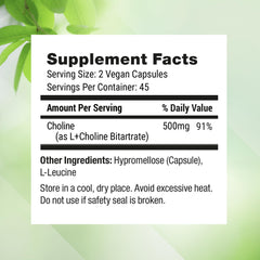 Nested Naturals Choline Bitartrate vegan capsules for daily energy