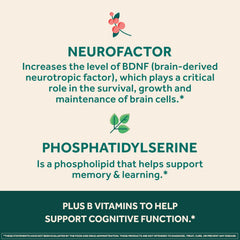 NEURIVA Brain Gym app screenshot for tracking brain fitness
