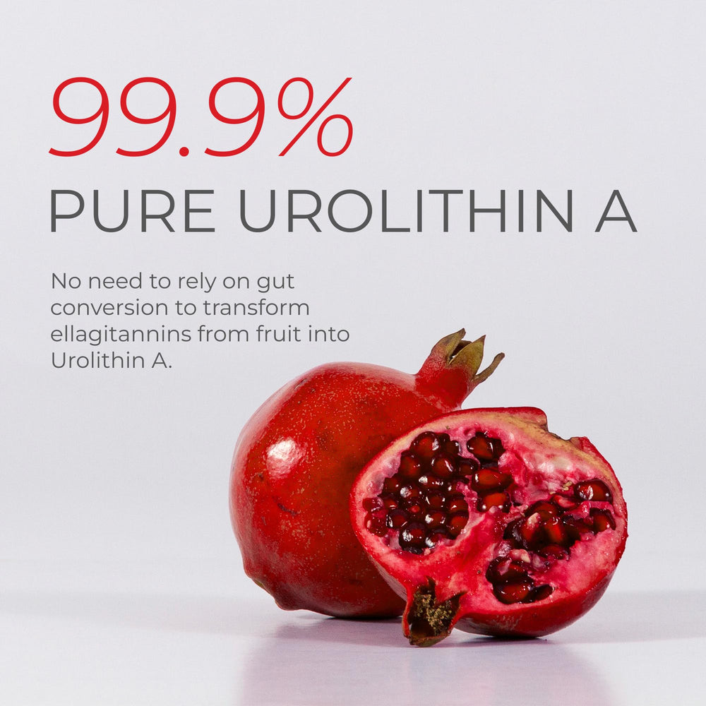 Third-party testing seal on Neurogan Urolithin A Powder reassures potency and purity.