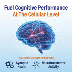 Neutein fast-acting boost dose panel suggests quick attention enhancement after intake.