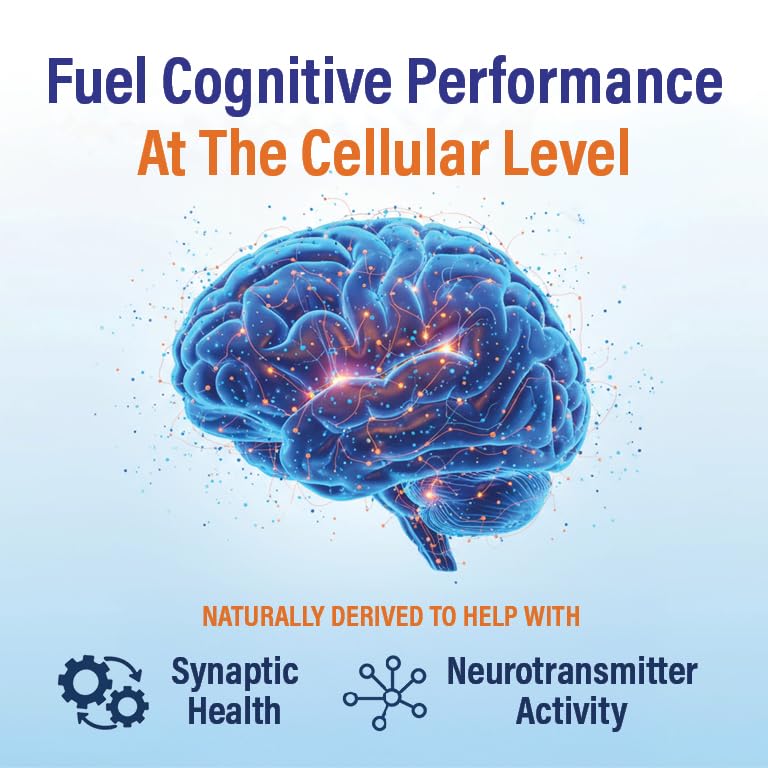 Neutein Memory & Focus 4-pack box displaying USA-made, trusted brain health formula.