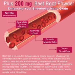 NEVISS Beet Root Gummies ingredient panel with carbonyl iron and folate.