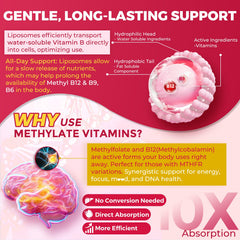 NEVISS Methyl B12 gummies ingredients list highlights B12, B6, and D3