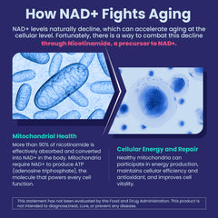 NEVISS Nicotinamide supplement bottle compact for daily use