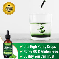 NEW AGE Chlorophyll Liquid Drops 4-pack packaging indicates USA-made production.