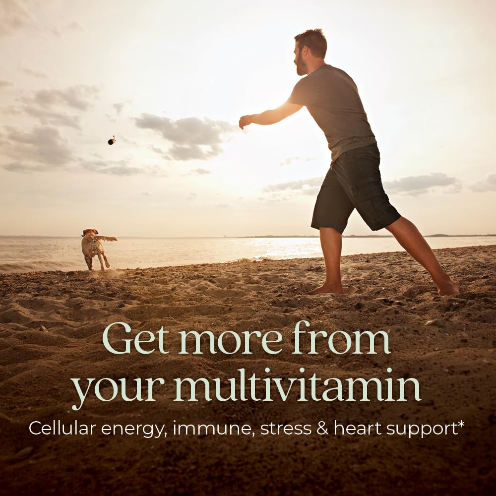 New Chapter Men’s Multivitamin tablets on a daily-use tray emphasize whole-food fermentation.