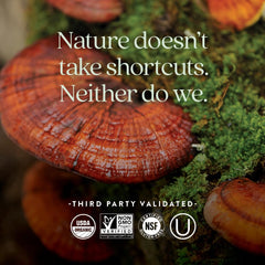 New Chapter organic certified, non-GMO vitamins for clean daily nutrition.