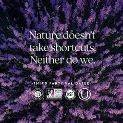 New Chapter Perfect Postnatal superfoods turbocharge nutrient density for postpartum energy