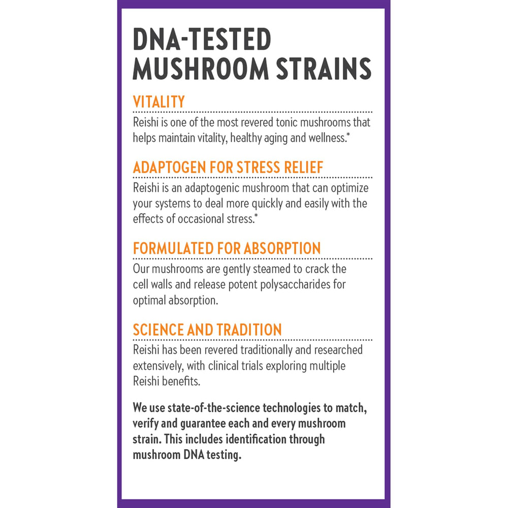 Full-spectrum Reishi imagery hints at traditional preparation and wellness possibilities.