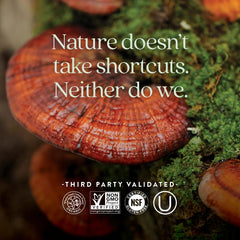 New Chapter Reishi box notes USA-grown organic, vegan formula for clean sourcing.