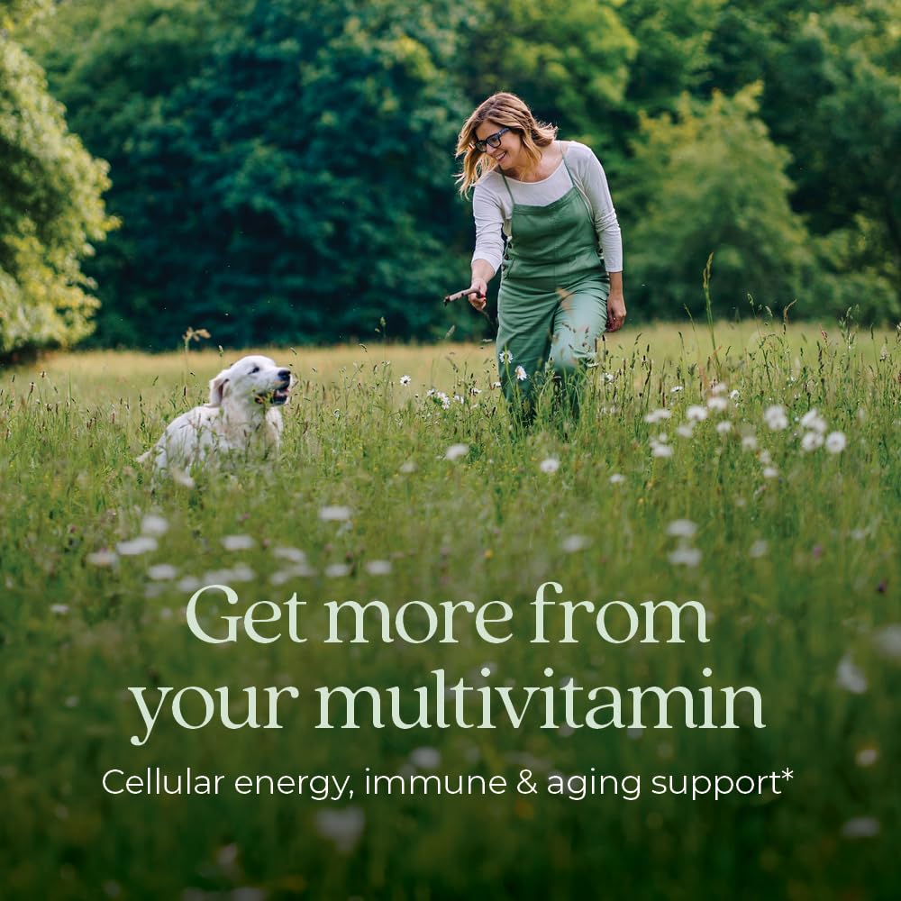 New Chapter Women’s One Daily 40+ tablets close-up show fermented nutrients.