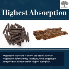 New Nordic long pepper capsule visual emphasizes absorption support