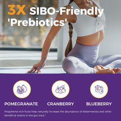 NewRhythm gut-lining support concept featuring polyphenols and probiotics.