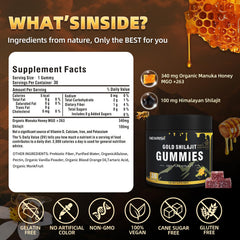 Newrish Shilajit Gummies on-the-go use for busy lifestyles