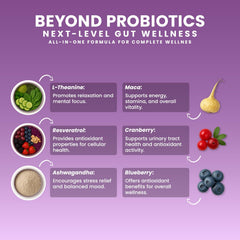 Next-Microbiome Boost Synergy antioxidant botanicals array signals resilience and vitality