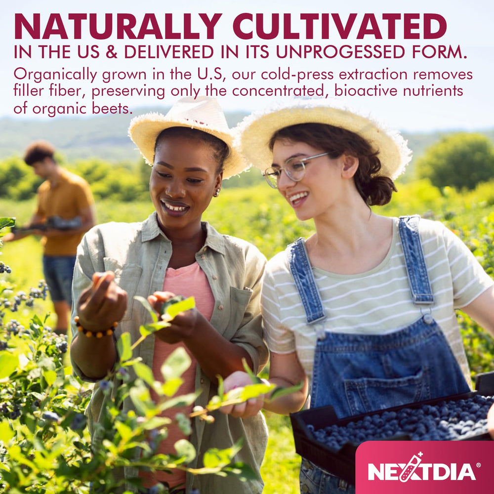 Nextdia Beet Root Gummies ingredients list includes L-Arginine and folate for circulation support.