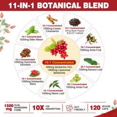 Nextdia berberine capsules close-up for easy daily supplementation