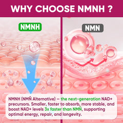 Nextdia NMNH with polyphenol blend supports antioxidant defense
