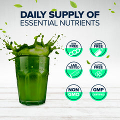 NF Sports Super Greens scoop daily-use image suggests simple one-scoop routine