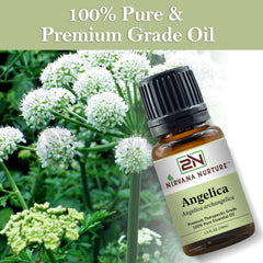 Nirvana Nurture Angelica Oil in skincare routine setup