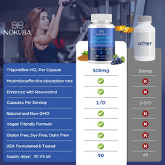Nokuba GMP-certified facility tag signaling quality manufacturing standards