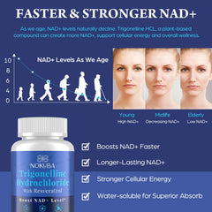Nokuba NAD supplement bottle label closeup highlighting ingredients and quality