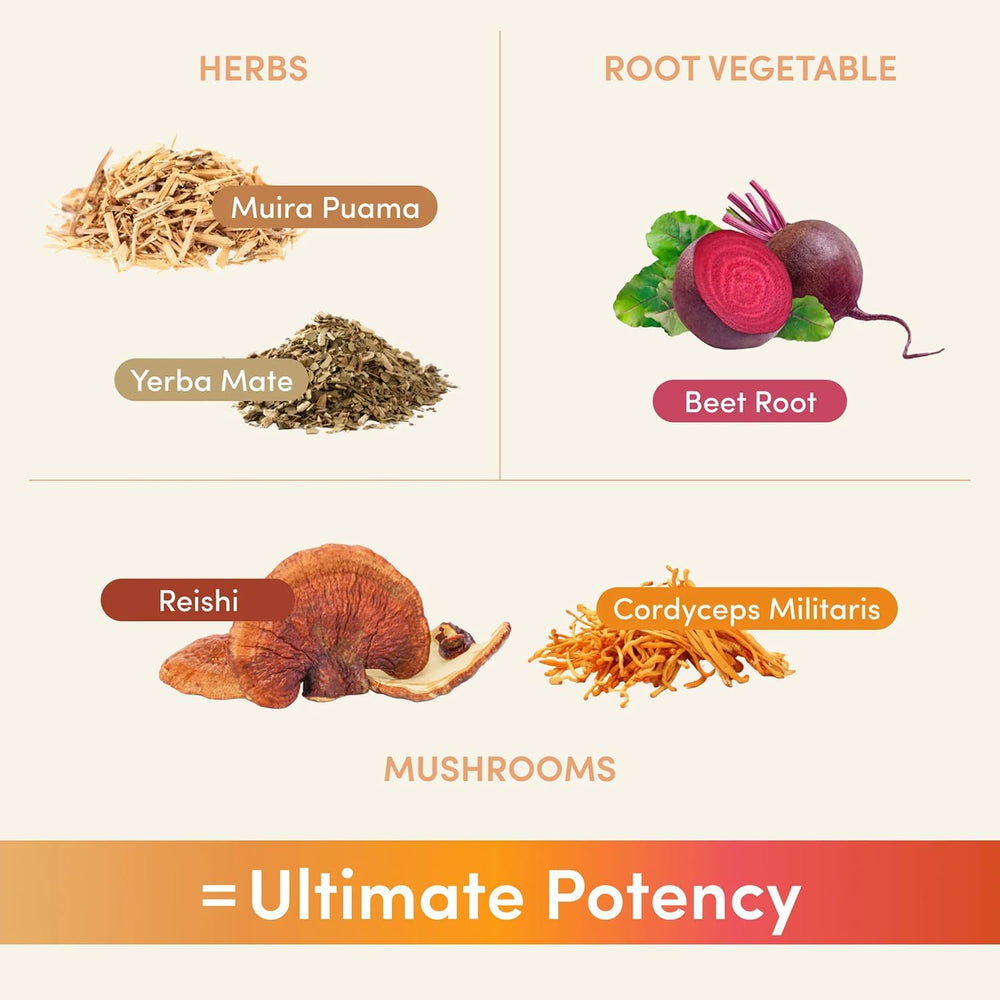 Non Fungible Mushrooms Lift powder-dissolve-in-water demonstrates quick refresh and flavor.