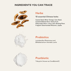 NOOCI NOO Gut probiotic ingredients visual emphasizing gut microbiome support