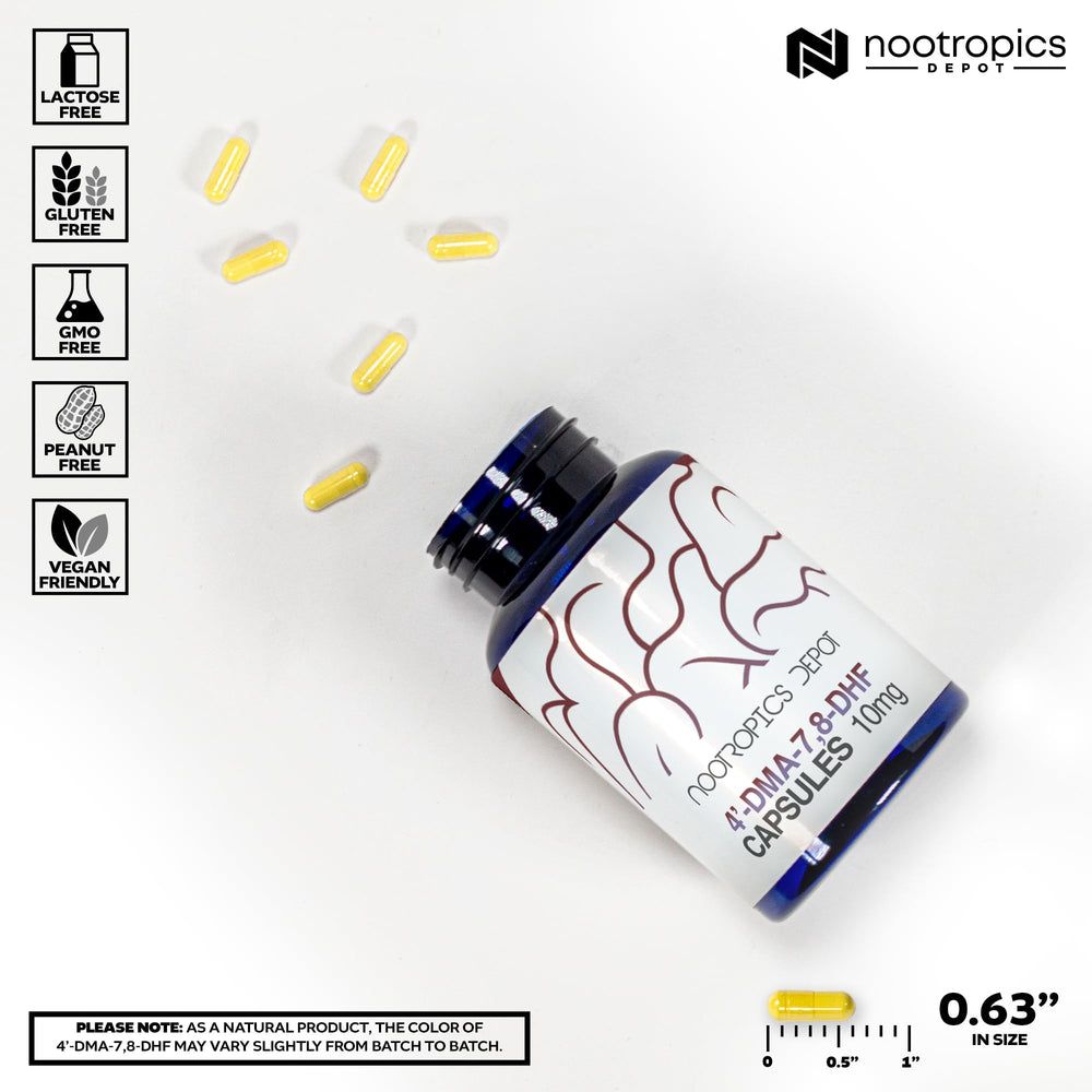 Nootropics Depot 30-count packaging seen on a clean desk for everyday use.