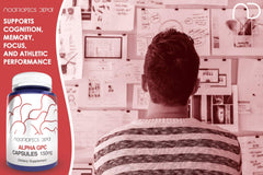 Nootropics Depot Alpha GPC capsules in use for study and work focus