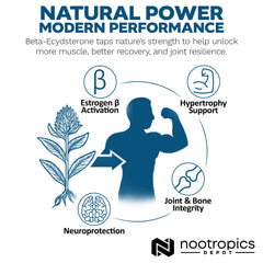 Top view of Nootropics Depot Beta Ecdysterone bottle emphasizing premium packaging.