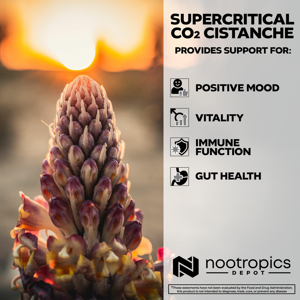 Nootropics Depot Cistanche capsules pouring show easy dosing for focus and vitality.