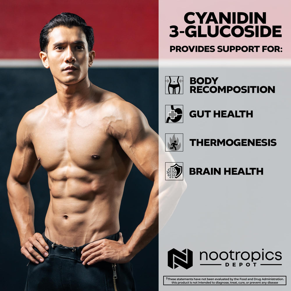 Nootropics Depot Cyanidin 3-Glucoside black rice extract visual illustrating natural origin.