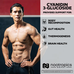 Nootropics Depot Cyanidin 3-Glucoside black rice extract visual illustrating natural origin.