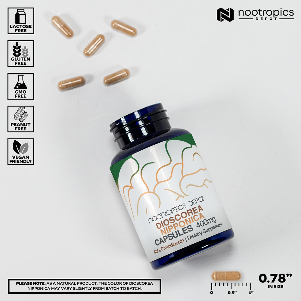 Nootropics Depot 400mg serving closeup supporting steady energy and focus